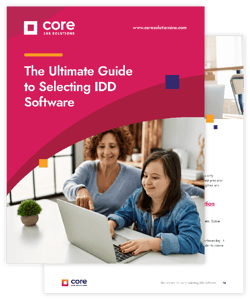 Ebook: The Ultimate Guide to Selecting IDD Software